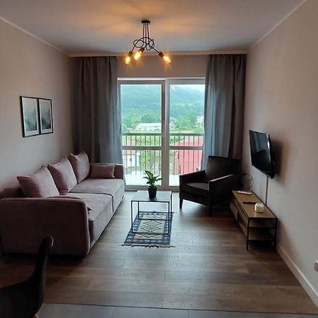 Apartamenty W Bieszczadach Ustrzyki Dolne Zewnętrze zdjęcie